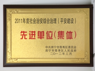 2011年度社会治安综合治理（平安建设）先进单位