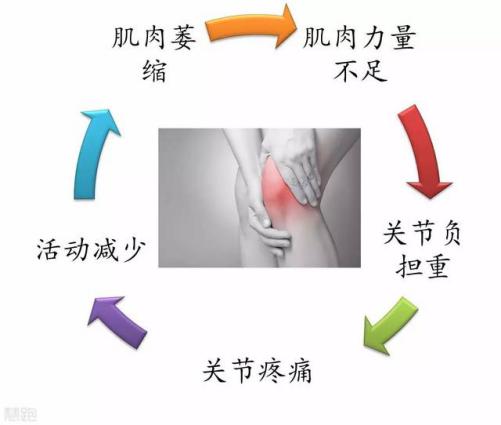图片 4