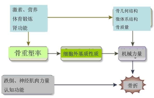 图片 6