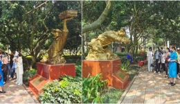 追忆光辉历史，传承红色精神——广西江滨医院第十二、第十五党支部开展主题党日活动