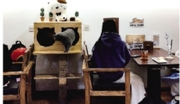 【广西云】一手吃饭一手撸猫，你觉得这样卫生吗？业内人士这样建议！