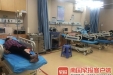 媒体关注 | 一群黑压压的蜜蜂来袭，南宁7名工人遭“围攻”！