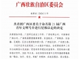 好“young”的！这一青年集体，被认定为广西青年文明号