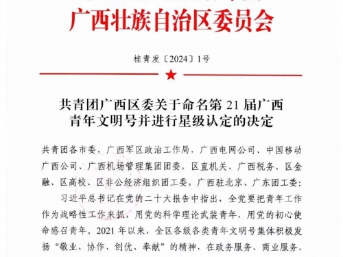 好“young”的！这一青年集体，被认定为广西青年文明号
