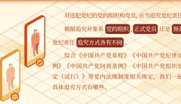 党纪责任追究对象方式一览