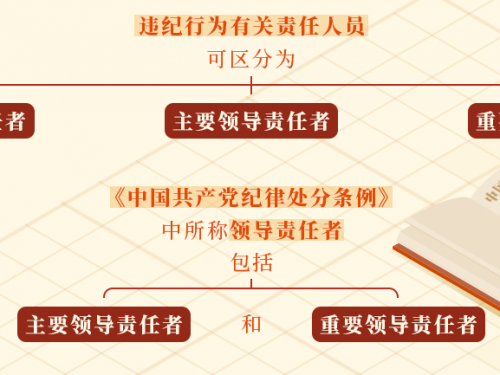 直接责任、主要领导责任、重要领导责任如何区分？